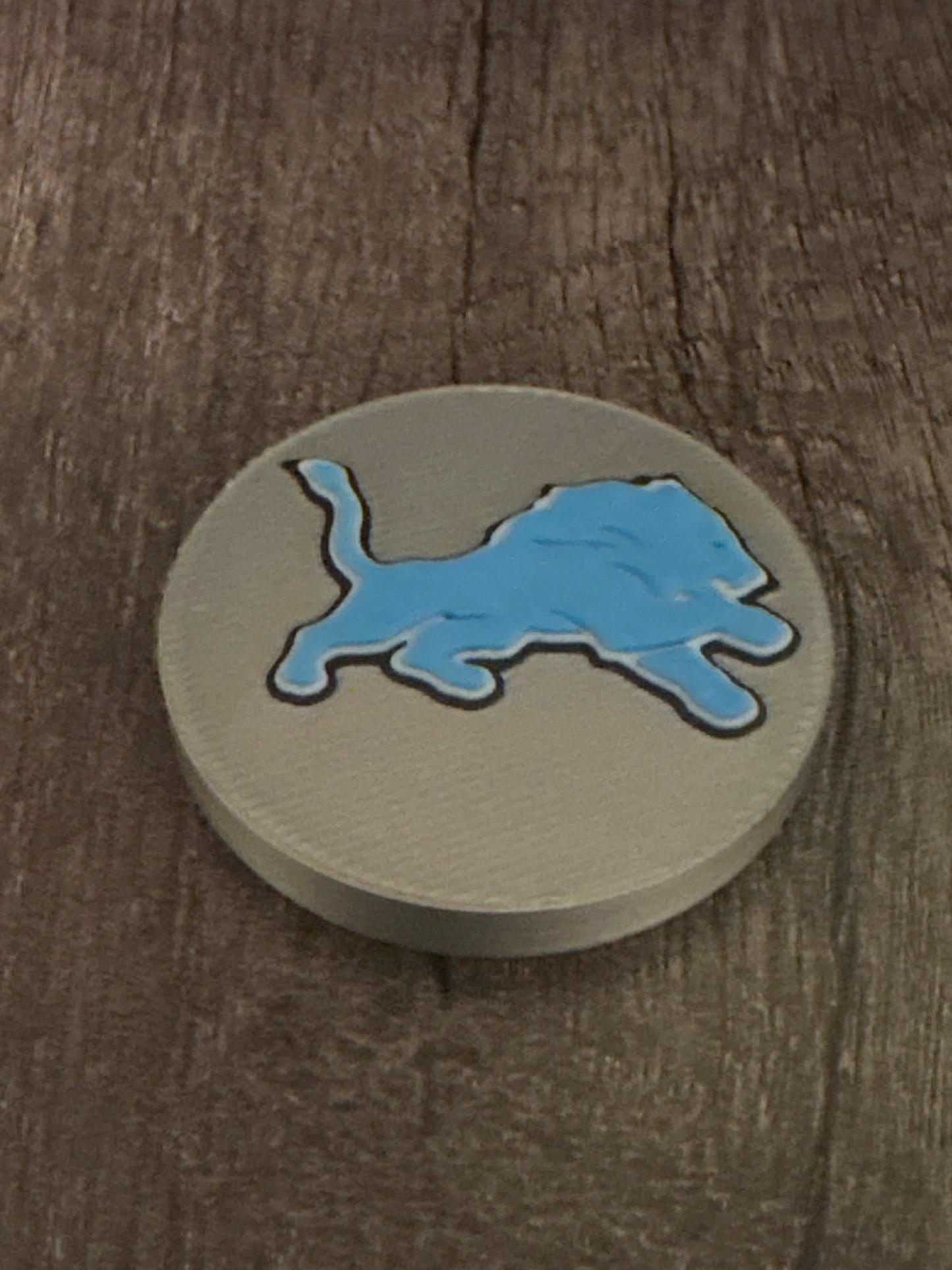 NFL Team Magnet - Detroit Lions