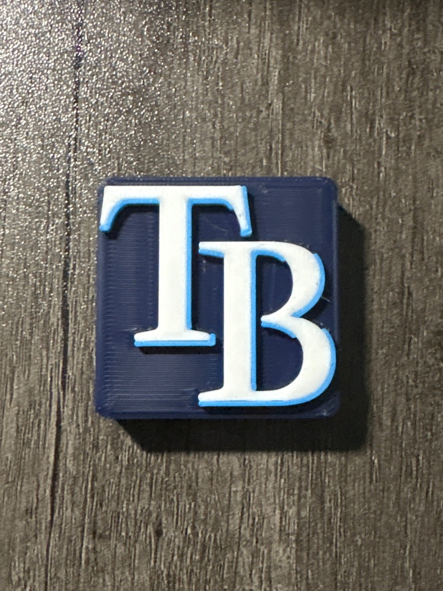 MLB Team Magnet - Tampa Bay Rays